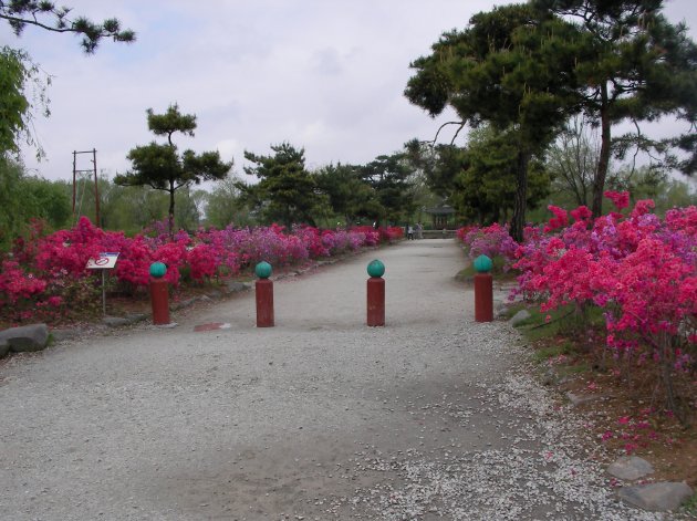 薯童公園（宮南池）の遊歩道
